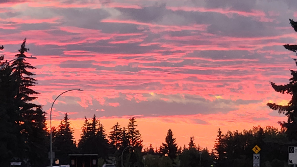 Wonderful Sunset